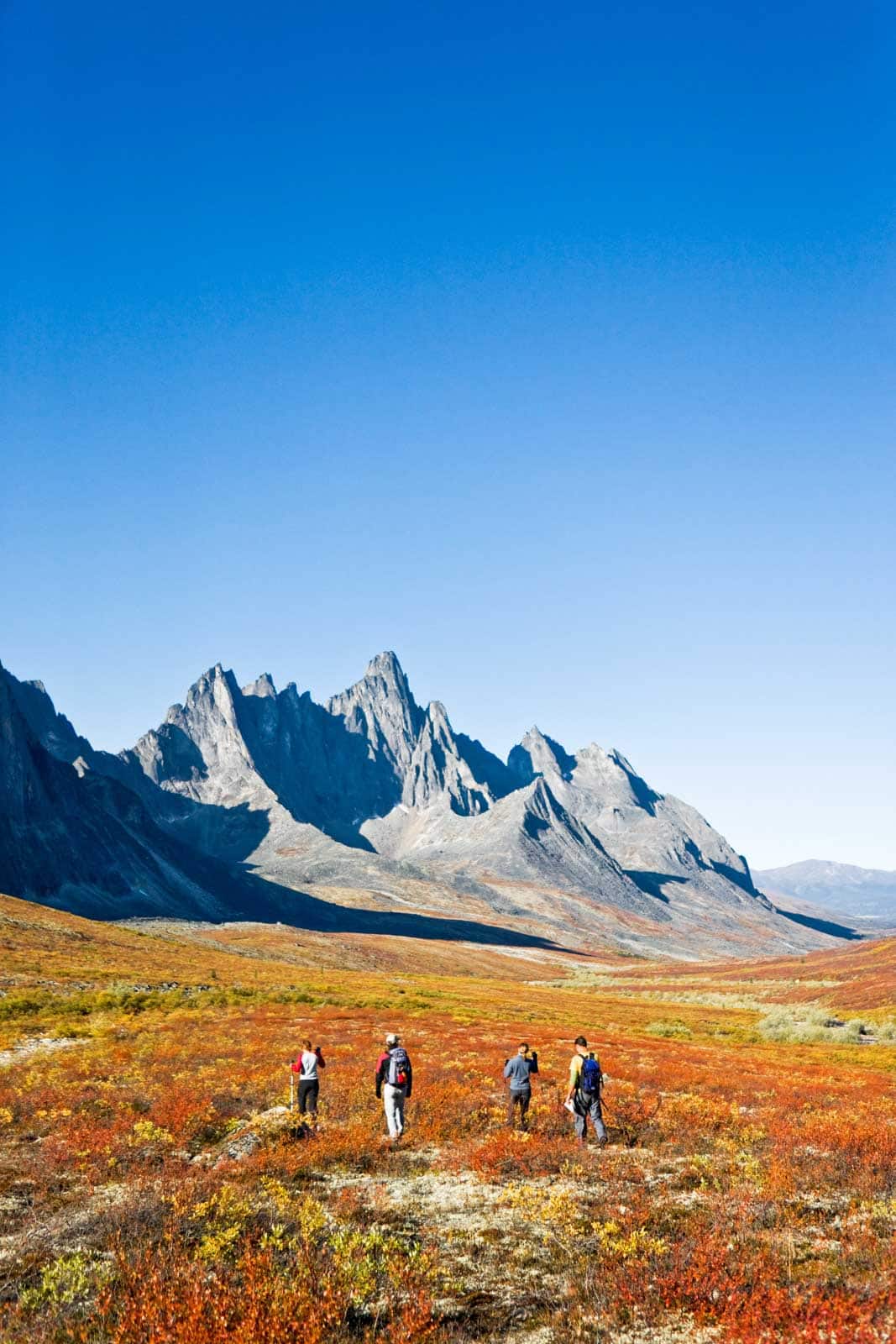 Tombstone territorial park discount