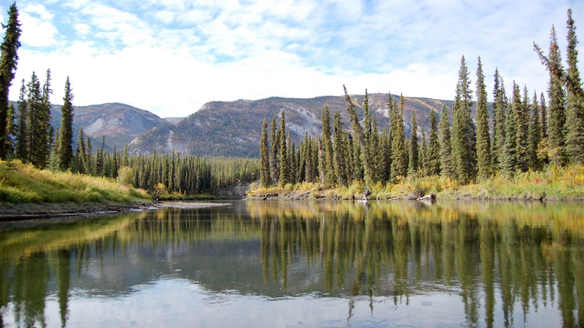 The Klondiker - Big Salmon River - mirroring