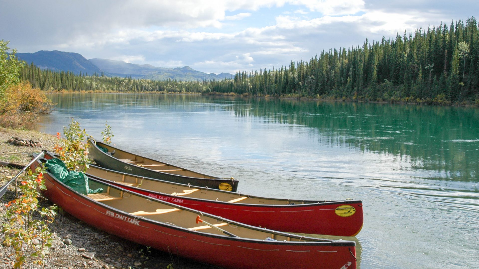 Yukon River Tour - Lake Laberge to Carmacks - Canoe next to the Yukon River