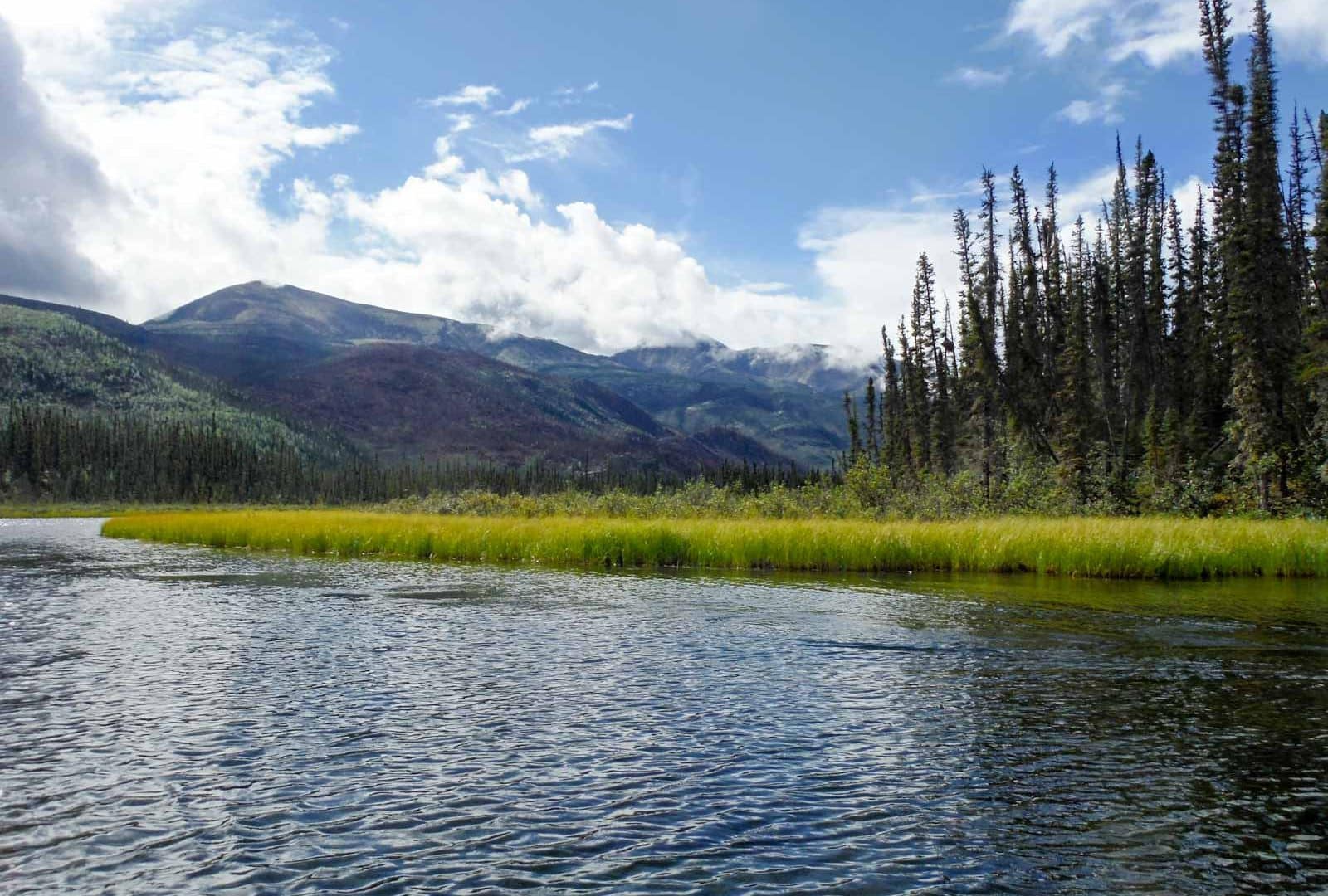 Yukon River by Canoe: Route, Outfitters, Planning, Logistics, and More! -  Jeremy B. Shapiro